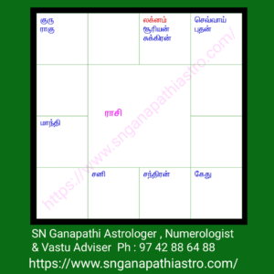 Career astrology